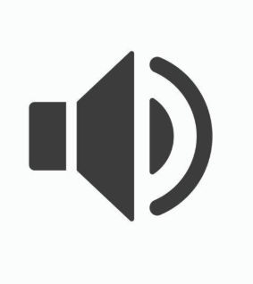 Sound on icon